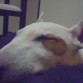 Duerme 5 minutos y despues quiere jugar dodo el dia.
Aca tiene 5 meses de edad.