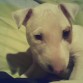 Chiquitititaaaaaaaaaaaa!!