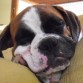 Es como un angelitooo... cuando duerme!!