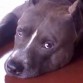 MIRADA SERIA