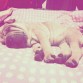 Siesta nº2 =)