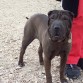 Esta es Luna