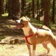 Mara en la montaña, divirtiéndose. Tenía 2 años