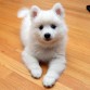 es adorableeeeeeeeeeeeee!!