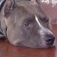 DESCANSANDO