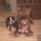 noa con sus peluches...