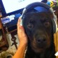 jugando xbox :)
