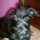 mi k cara :D