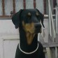 Mi bebe