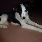 4 meses y 3 semanas.