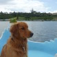 En el lago de Yahuarcocha, me encanta nadar