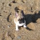 Su primer dia en la playa de Badalona