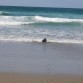 Su primer dia en la playa,su lo paso genial....
Alos 2 años y medio cas ya era hora.