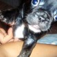 su hermanito!!