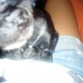 conn su hermanito!!