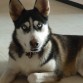 SIGRID 10 MESES