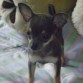 Mi hermosa prncessita Laila Alí a sus 3 meses de edad
