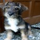 Aqui con cinco meses