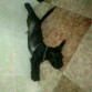Cada uno duerme como quiere jajaja :D