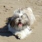 Me encanta la Playa