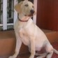 Vincent con 5 meses