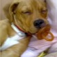 tan tierno durmiendo con su chupete puesto! jaja