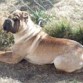 Tomando solcito....
