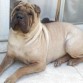 Umita a sus 3 años
