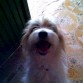 exnovia de Bobby