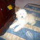 tierno y cariñoso 