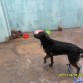 MI NEGRA HERMOSA JUGANDO CON AGUA EN NUN DIA DE MUCHO CALOR =) T AMO HIJA MIA =D
