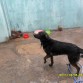 MI NEGRA HERMOSA JUGANDO CON AGUA EN NUN DIA DE MUCHO CALOR =) T AMO HIJA MIA =D