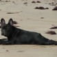 Tomando un descanso en la playa :)