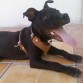 kandy en esta foto tenia 6 meses