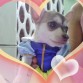 ESTA ES MI BB PRINCESA CUANDO CUMPLIO 6 MESES AMI LADO ,,, 