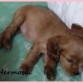 TAARA DESCANSANDO 
