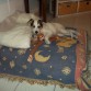 asi duerme tini
