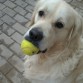 Jugando con la pelota.