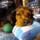 Wendy con su pelota