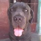 zeus cuando tenia 4 años