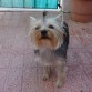 Diciembre 2011,1 año y 7 meses.¿no es una preciosidad?