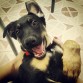 Aquí tenía 2,5 meses
