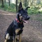 Aquí con 7 meses en el campo!