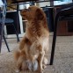 belu haciendo 'patita'