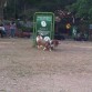 paseando