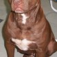 MI hermosa cande ...XD
