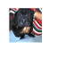 este es conciencia tiene 2 meses :3 