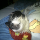 Durmiendo...