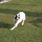 Dana corriendo :)