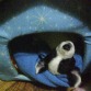 Sus peculiares posturas de cachorro :)